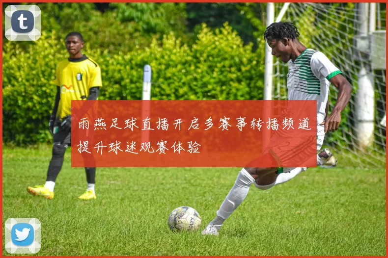 雨燕足球直播开启多赛事转播频道提升球迷观赛体验