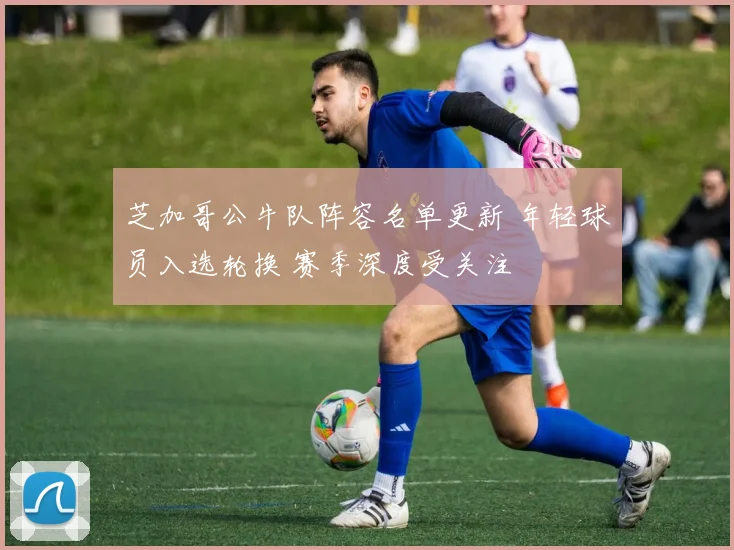 芝加哥公牛队阵容名单更新 年轻球员入选轮换 赛季深度受关注