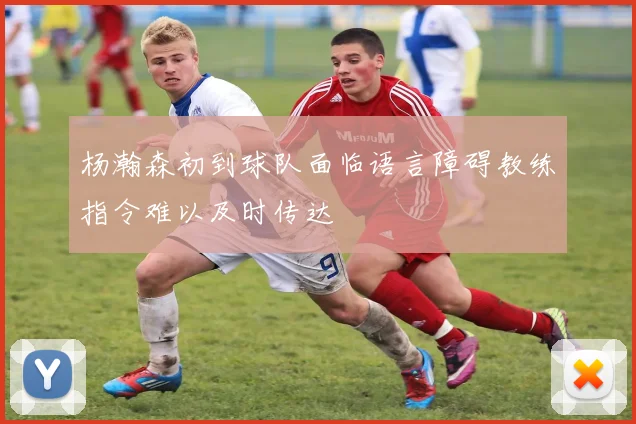 杨瀚森初到球队面临语言障碍教练指令难以及时传达