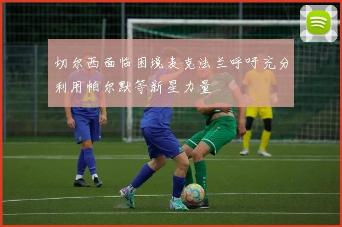 切尔西面临困境麦克法兰呼吁充分利用帕尔默等新星力量