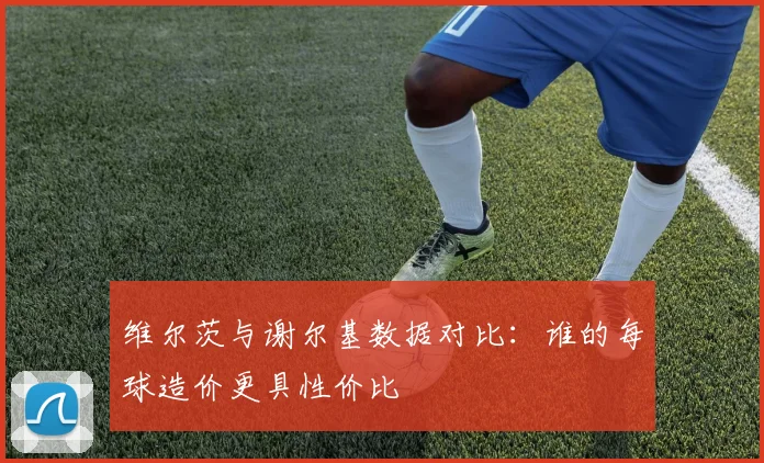 维尔茨与谢尔基数据对比：谁的每球造价更具性价比